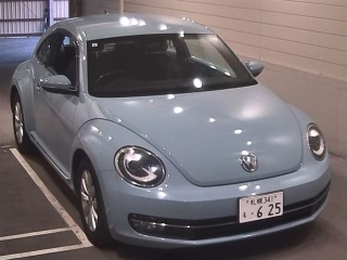 VOLKSWAGEN THE BEETLE 2015