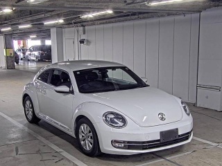 VOLKSWAGEN THE BEETLE 2016